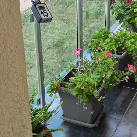 Apartman Black Sea Meadows *