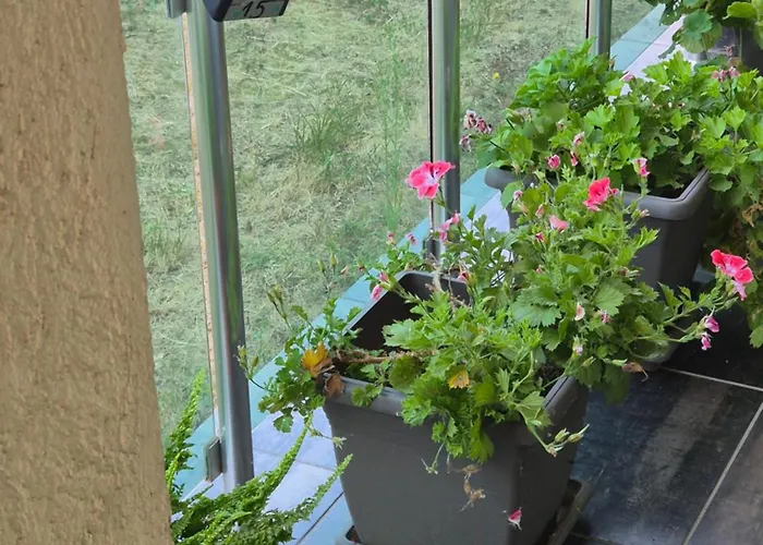 アパート Black Sea Meadows *